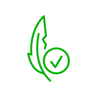 Bamboono